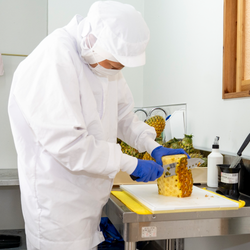 【第2回コラム】Painuの事業紹介シリーズ②「加工」